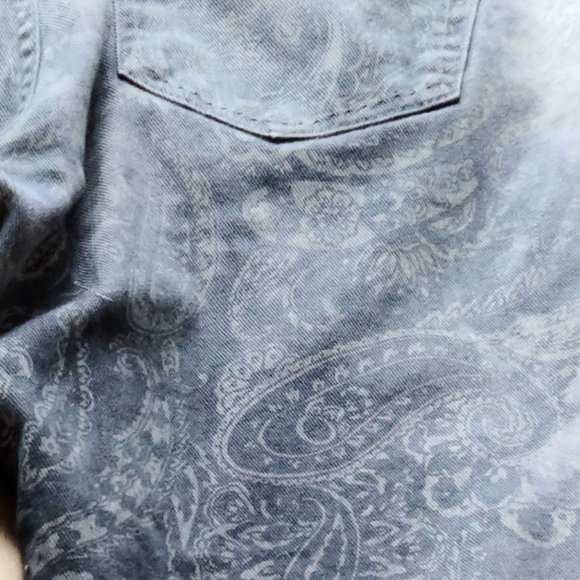 Etro Gradient Paisley Print Denim